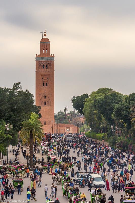 10 Days tour from Marrakech