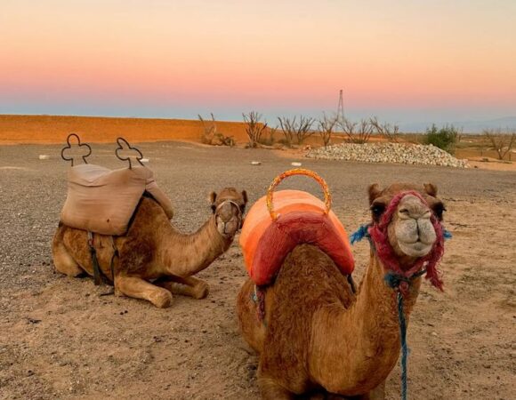 Agafay Desert