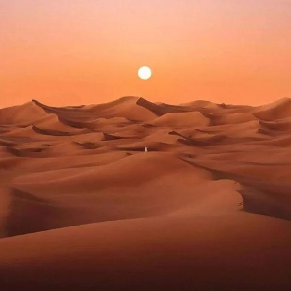 Merzouga desert 🇲🇦