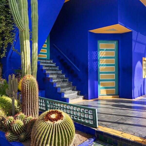 garden majorelle