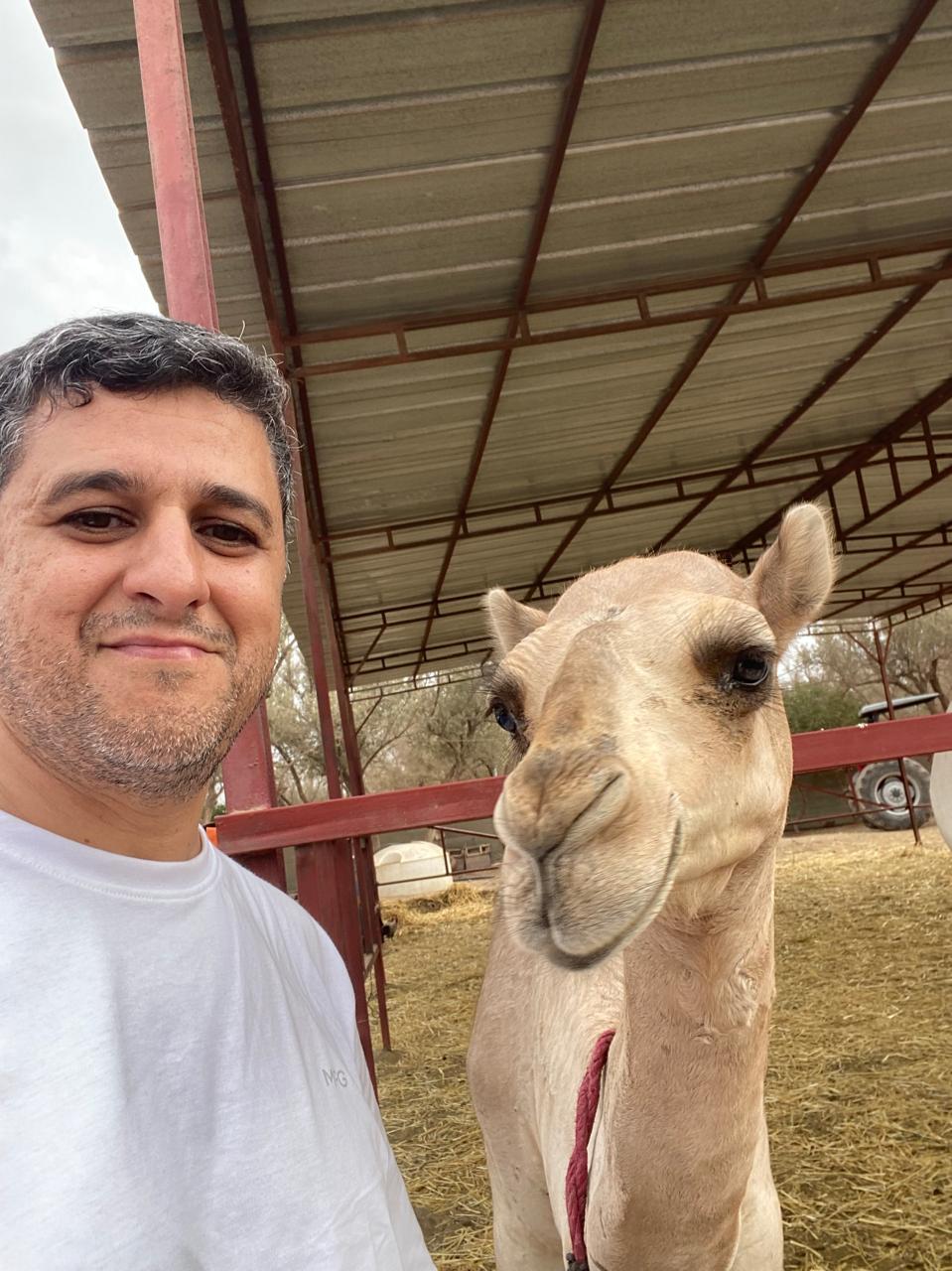 Agafay Desert Camel Ride