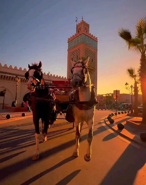 hose in marrakech